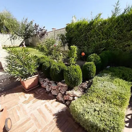 Bellerose * Bozhurets