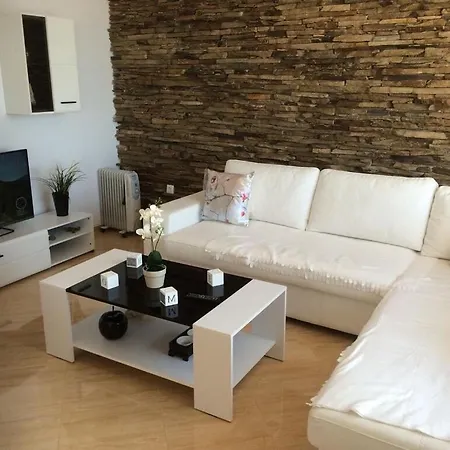 Bellerose * Bozhurets