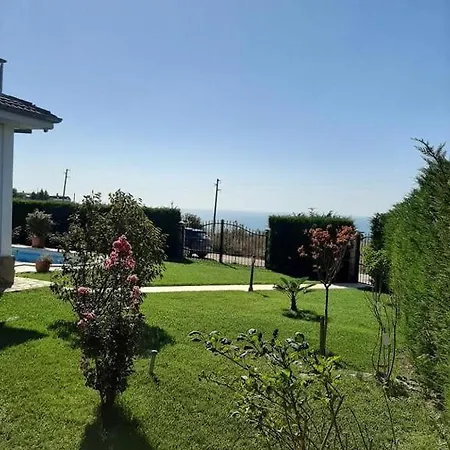 Bellerose * Bozhurets