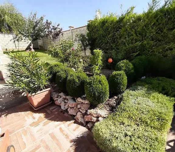 Bellerose * Bozhurets