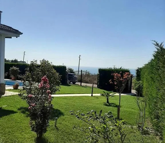 Bellerose * Bozhurets